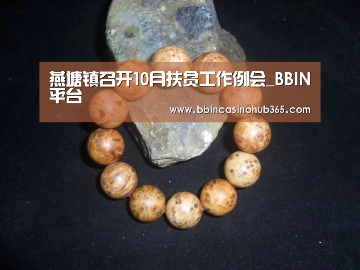 燕塘镇召开10月扶贫工作例会_BBIN平台(图4) BBIN竞猜