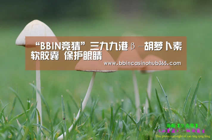 BBIN平台