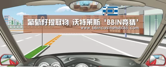 葡萄籽提取物 沃特莱斯‘BBIN竞猜’(图2) BBIN竞猜