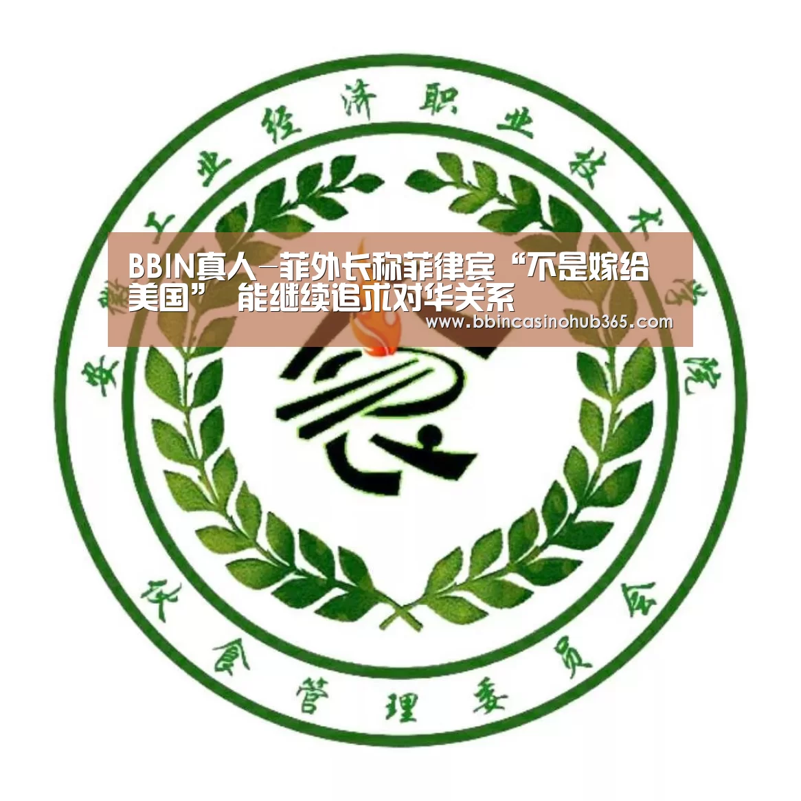 BBIN真人-菲外长称菲律宾“不是嫁给美国” 能继续追求对华关系(图2) BBIN平台