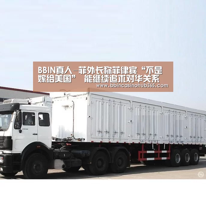 BBIN真人-菲外长称菲律宾“不是嫁给美国” 能继续追求对华关系(图4) BBIN真人